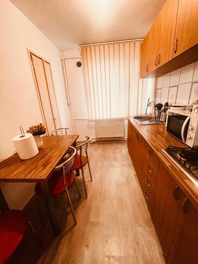Ultracentral Big Apartment - Near The Opera Square P17 Timişoara Buitenkant foto