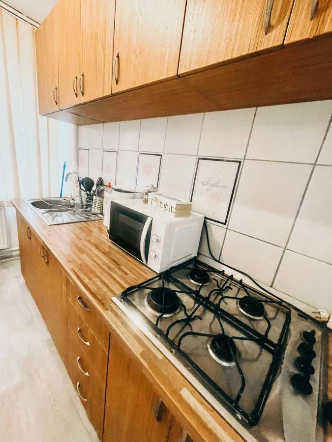 Ultracentral Big Apartment - Near The Opera Square P17 Timişoara Buitenkant foto