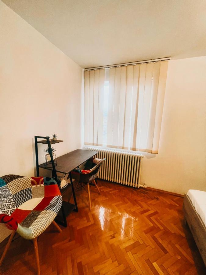 Ultracentral Big Apartment - Near The Opera Square P17 Timişoara Buitenkant foto