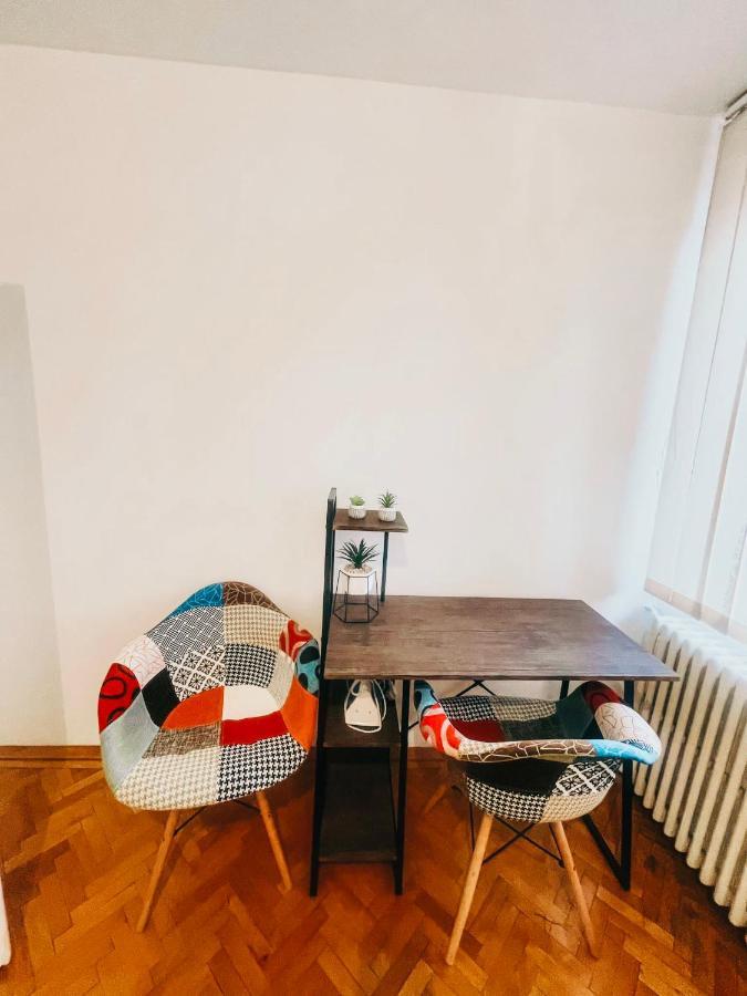 Ultracentral Big Apartment - Near The Opera Square P17 Timişoara Buitenkant foto
