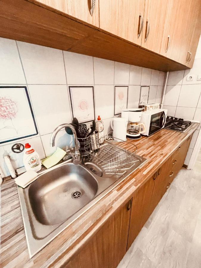 Ultracentral Big Apartment - Near The Opera Square P17 Timişoara Buitenkant foto