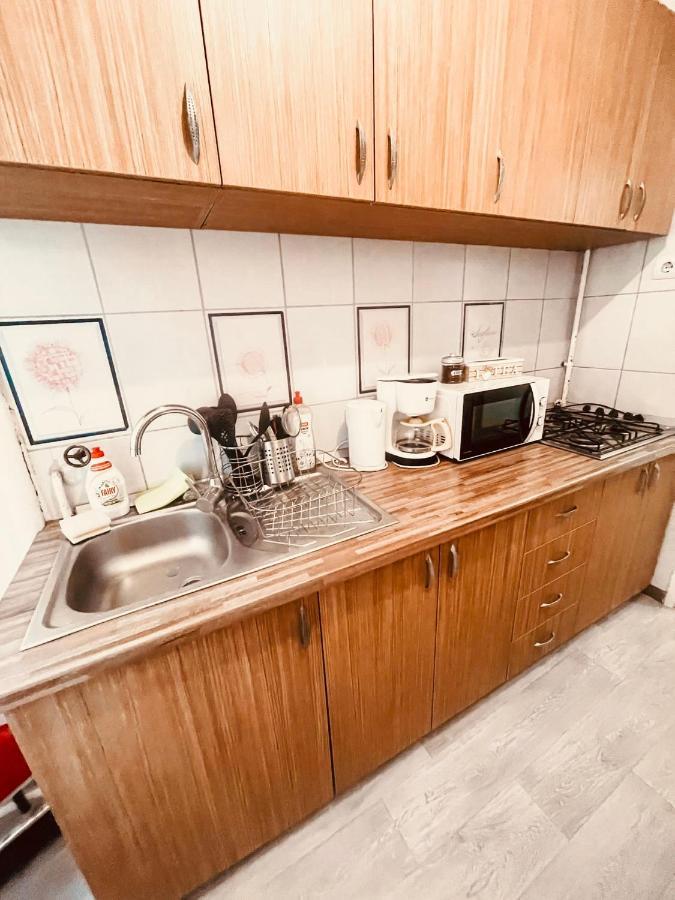Ultracentral Big Apartment - Near The Opera Square P17 Timişoara Buitenkant foto