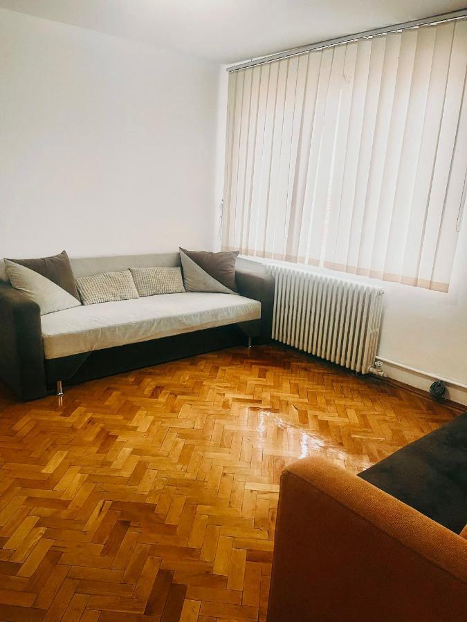 Ultracentral Big Apartment - Near The Opera Square P17 Timişoara Buitenkant foto