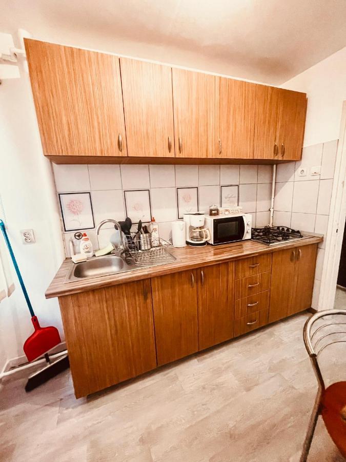 Ultracentral Big Apartment - Near The Opera Square P17 Timişoara Buitenkant foto