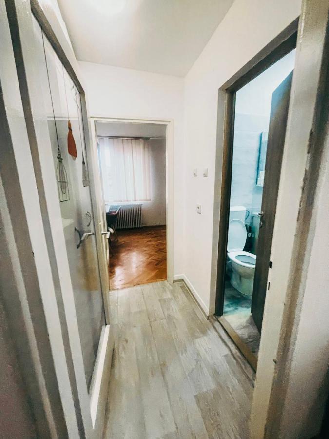 Ultracentral Big Apartment - Near The Opera Square P17 Timişoara Buitenkant foto